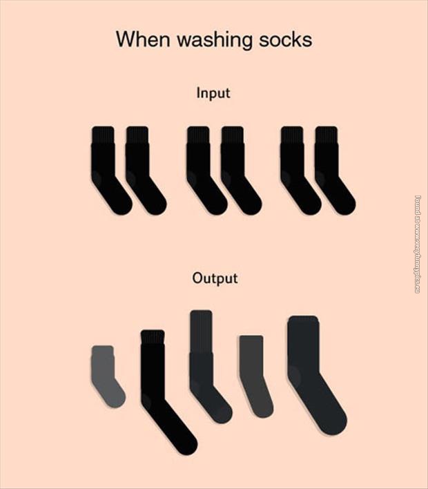 funny pics washing socks