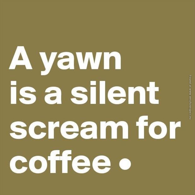 funny pics a yawn is a silent scream for coffee