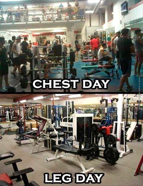 funny-pics-chest-day-vs-leg-day-at-the-gym