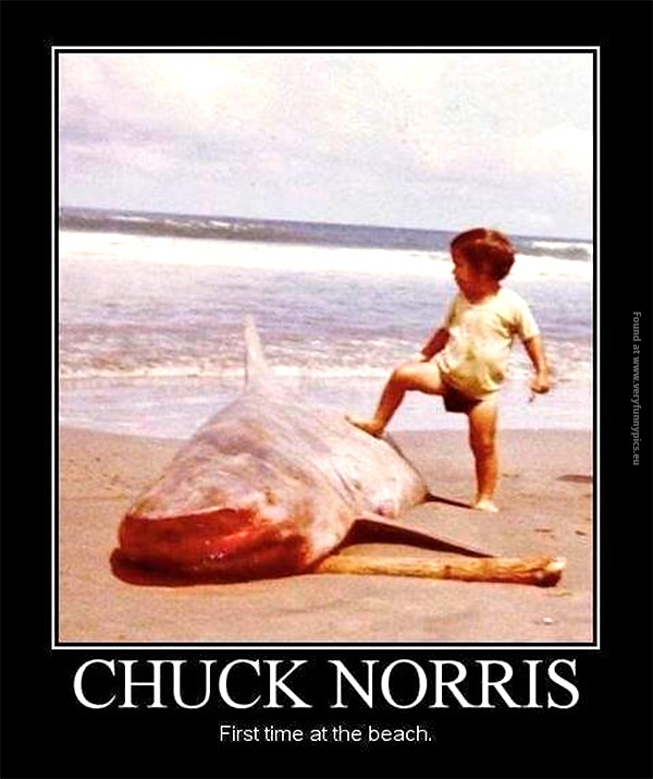 funny-pics-chuck-norris-first-time-at-the-beach