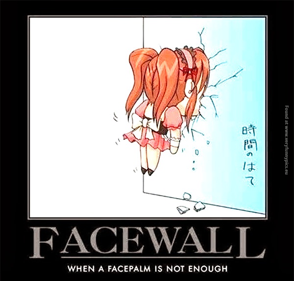 funny-pics-facewall-when-facepalm-is-not-enough