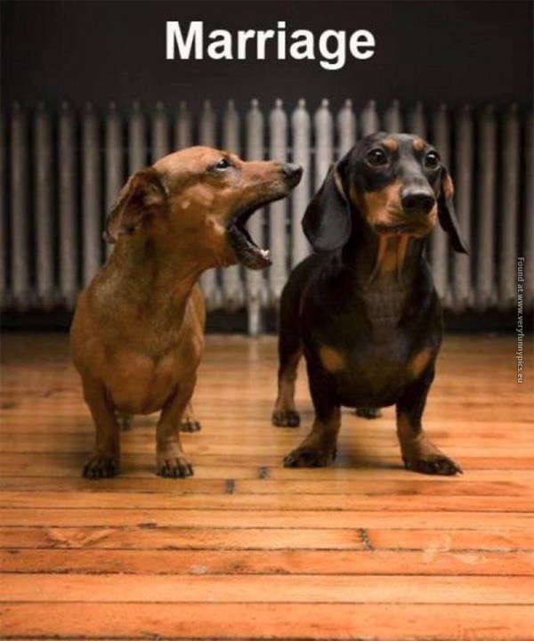 funny-pics-marriage