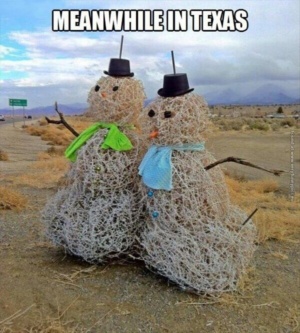 Snowmen in Texas - Very Funny Pics