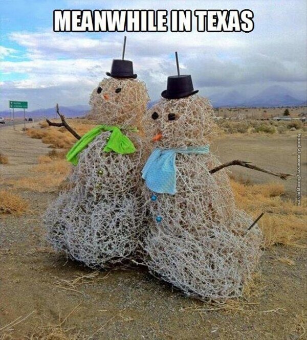 funny pics meanwhile in texas