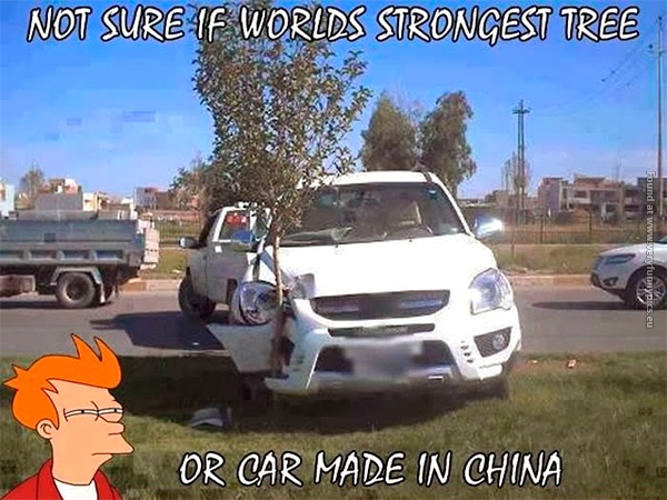 funny-pics-not-sure-if-worlds-strongest-tree-or-car-made-in-china