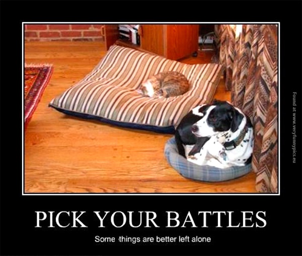 funny-pics-pick-your-battles-cat-and-dog
