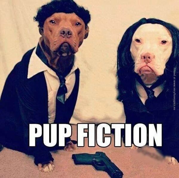 funny-pics-pup-fiction-dogs