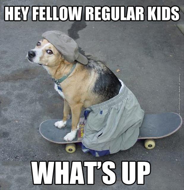 funny pics regular kid on a skateboard