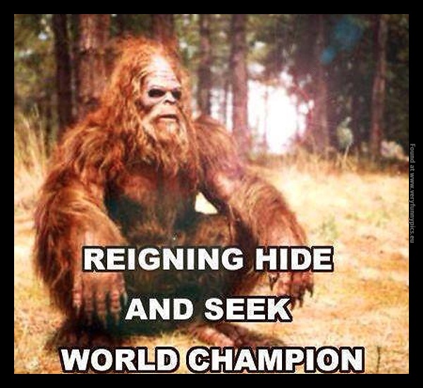 funny-pics-reigning-hide-and-seek-world-champion
