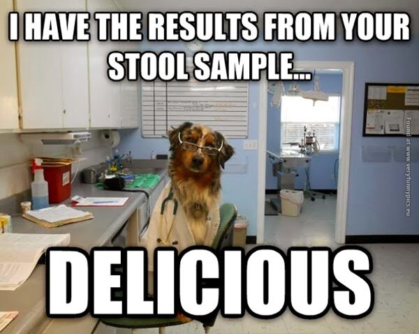 funny pics results from your stool sample dog doctor