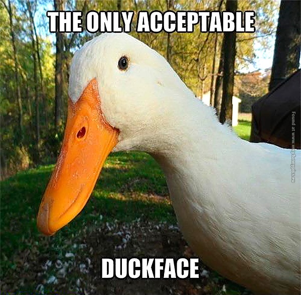 funny-pics-the-only-acceptable-duckface