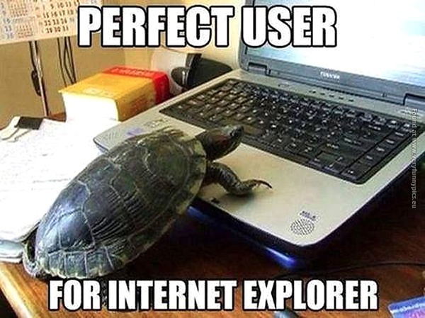 funny-pics-turtle-internet-explorer