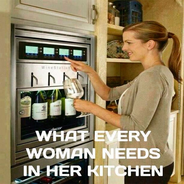 funny-pics-what-every-woman-needs-in-her-kitchen