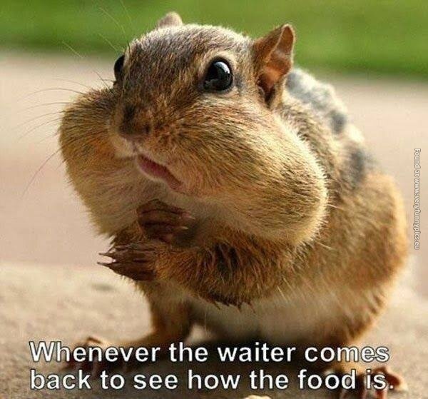 funny pics when the waiter comes back