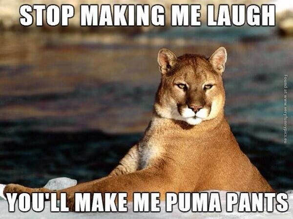 funny pics you make me puma pants