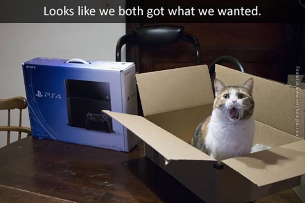 funny cat pictures both got what we wanted ps4 box