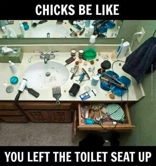 funny-pics-chicks-be-like-you-left-the-toilet-seat-up