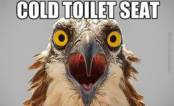 funny-pics-cold-toilet-seat