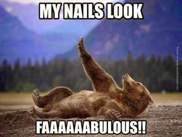 funny-pics-gay-bear-nails-look-fabulous
