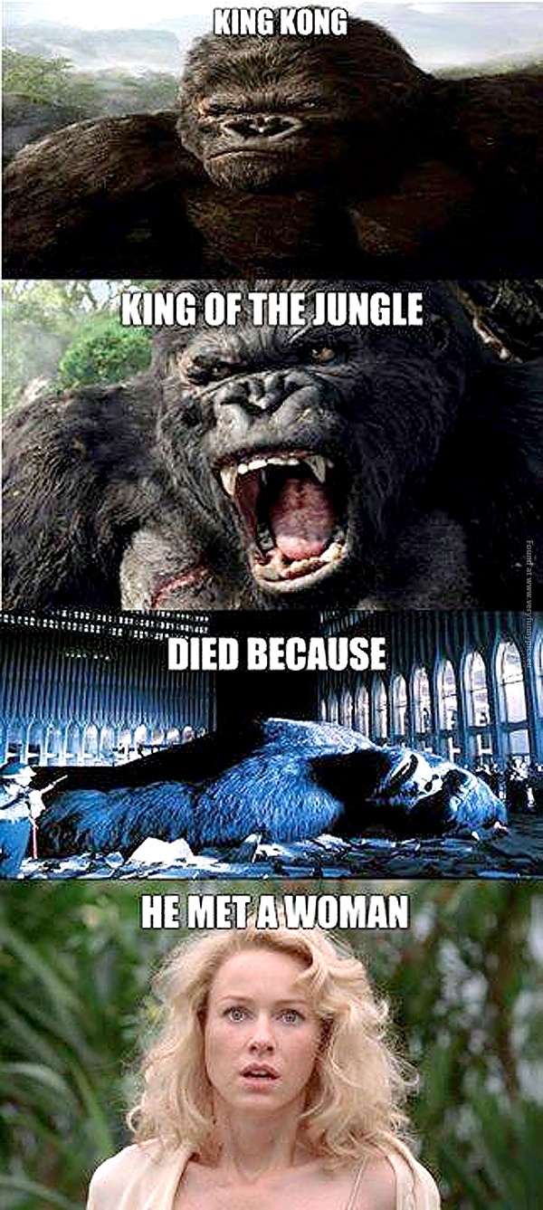 funny-pics-king-kong-died-because-he-met-a-woman