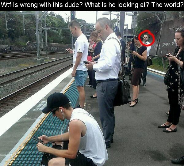 funny pics looking at the world instead of phone