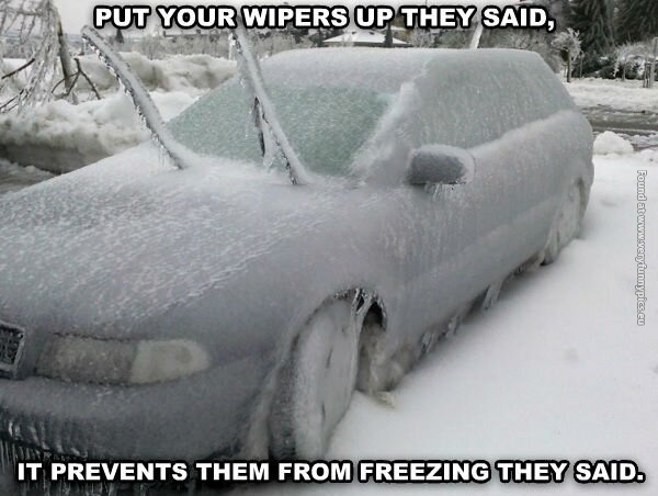 funny pics put your wipers up they said