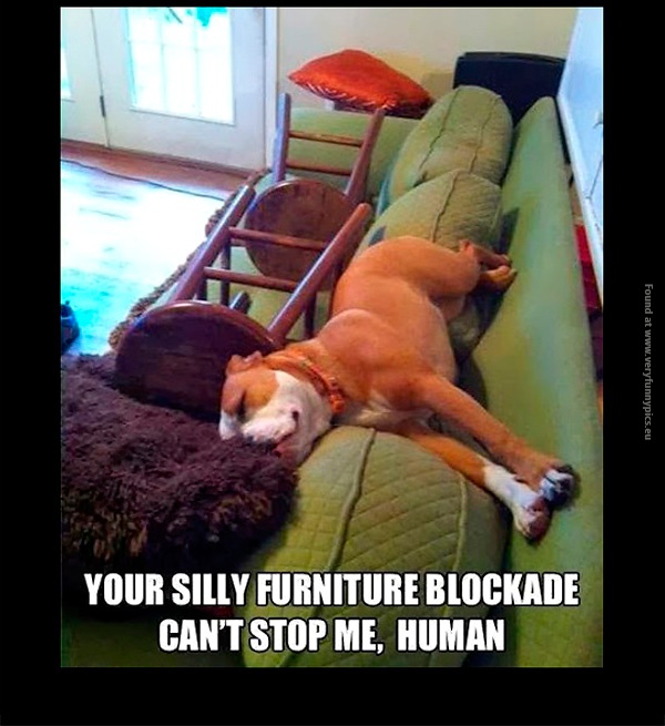 funny-pics-silly-furniture-blockade