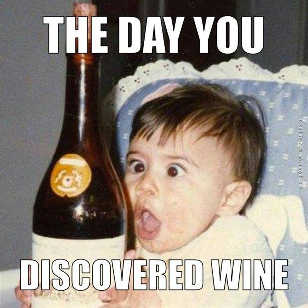 funny pics the day you discovered wine