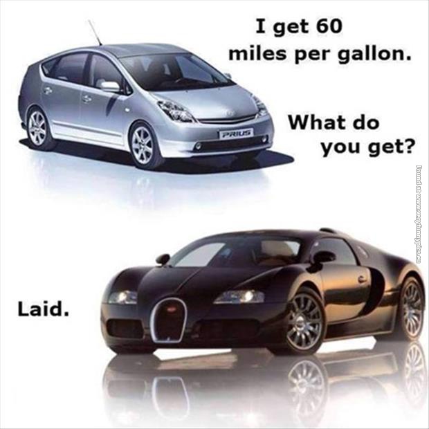 funny pics what do you get per gallon laid