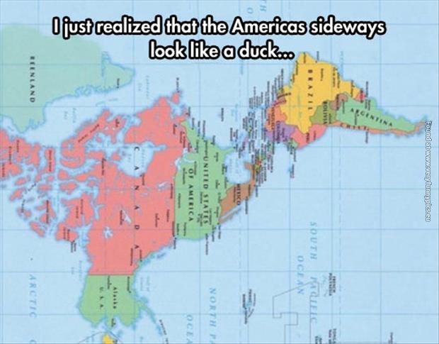 funny picture america sideways looks like a duck