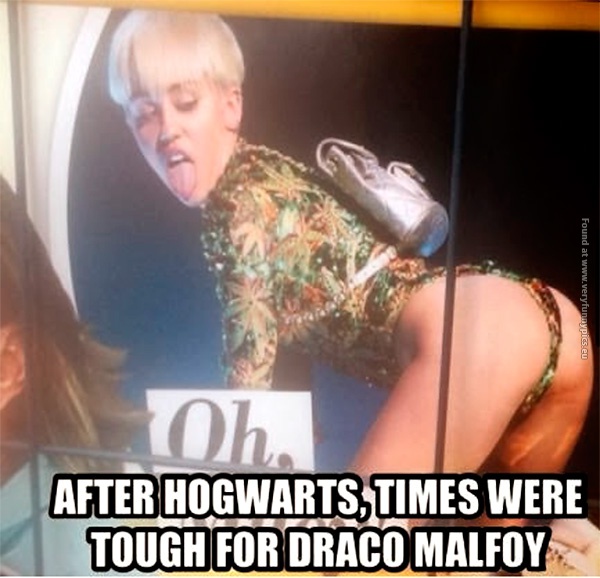 funny-pictures-after-hogwarts-draco-malfoy