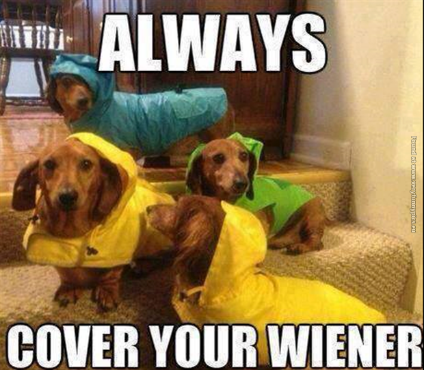 funny pictures always cover your wiener