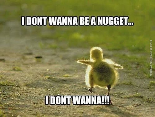 funny-pictures-chicken-dont-wanna-be-a-nugget