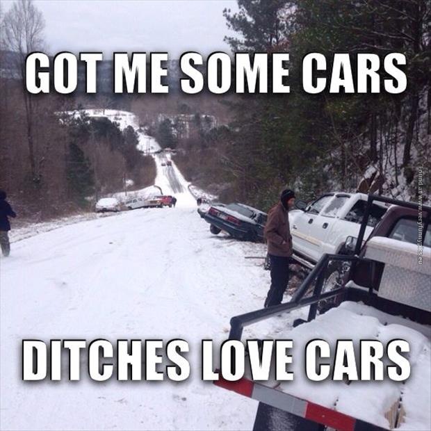 funny pictures ditches loves cars