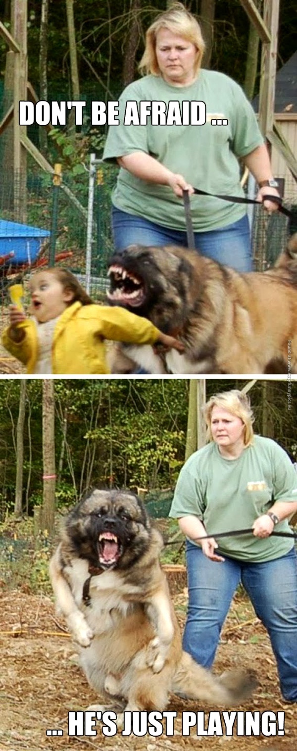 funny-pictures-dont-be-afraid-hes-just-playing-dog-owners