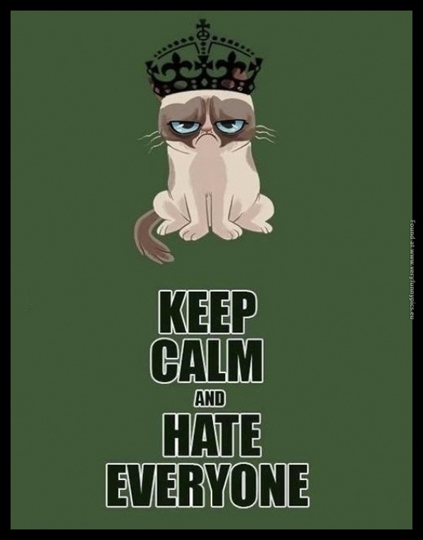 funny-pictures-grumpy-keep-calm-and-hate-everyone