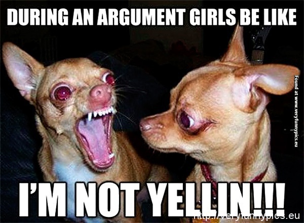 funny-pictures-im-not-yelling-dog