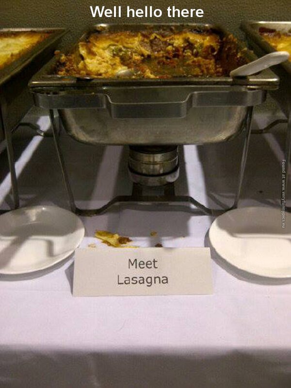 funny pictures meet lasagna well hello there