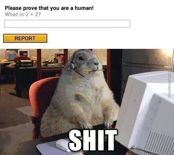 funny pictures prove that you are human