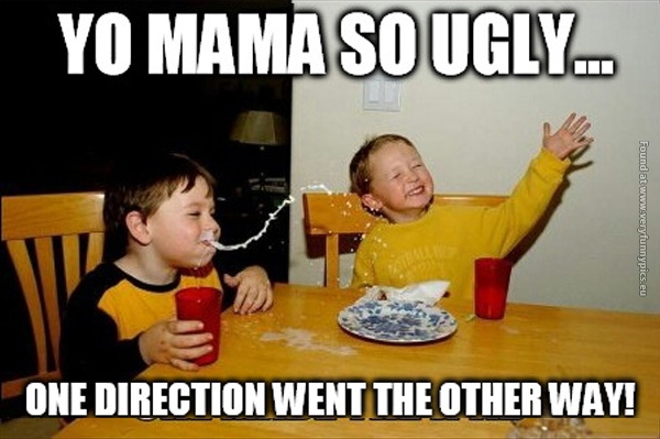 funny-pictures-you-mama-so-ugly-one-direction-went-the-other-way