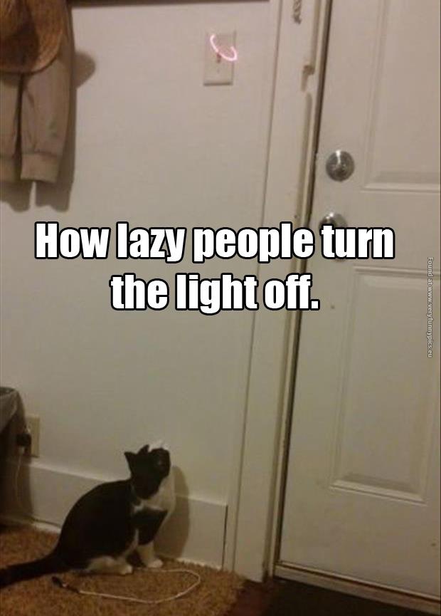 funny cat pictures how lazy people turn the ligths off