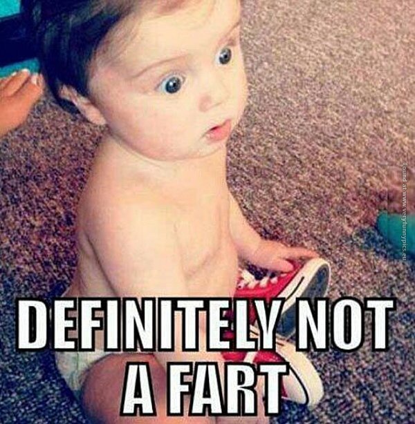 funny  pictures definitely not a fart