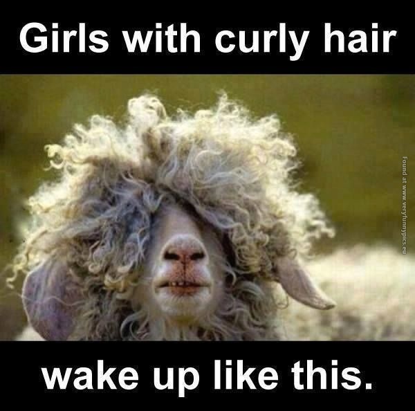 funny-pictures-girls-with-curly-hair