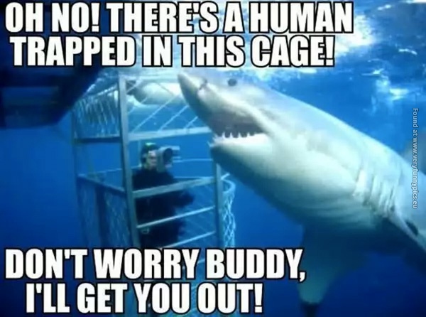 funny-pictures-helpfull-shark