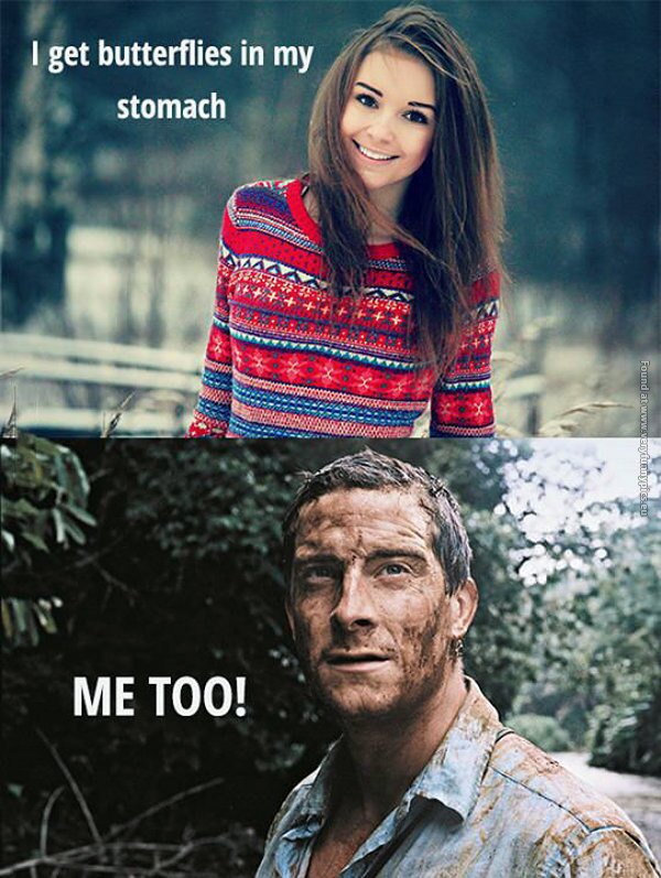 funny pictures i get butterflies in my stommach bear grylls