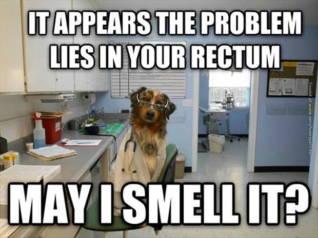funny pictures problem in your rectum doctor dog