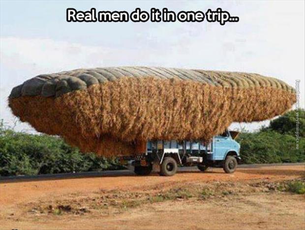 funny pictures real men do it in one trip