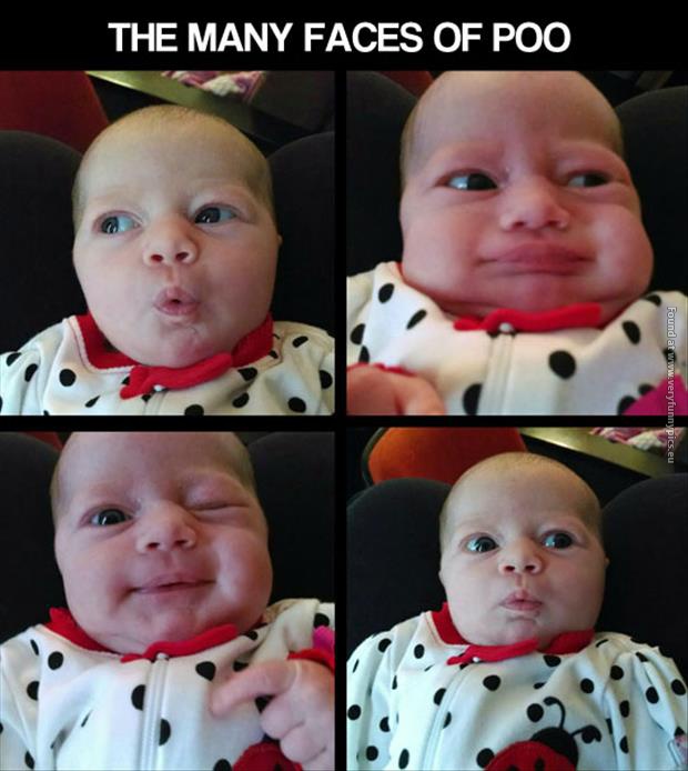 funny pictures the many faces of poo