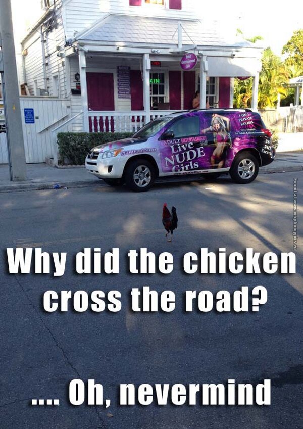 funny pictures why did the chicken cross the road