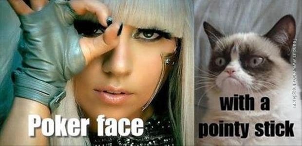 funny cat pictures grumpy cat poker face lady gaga